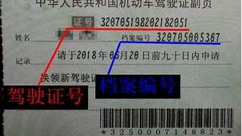 身份证号在线查驾驶证_身份证号在线查驾驶证档案编号